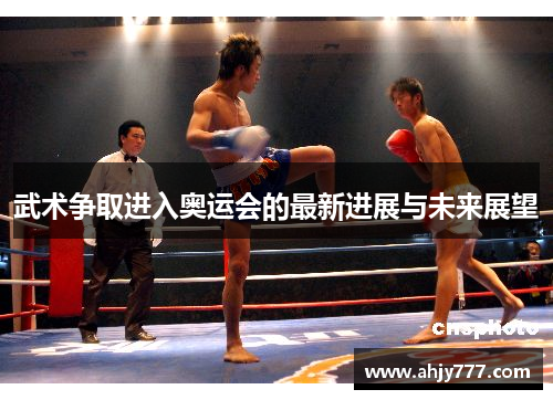 武术争取进入奥运会的最新进展与未来展望